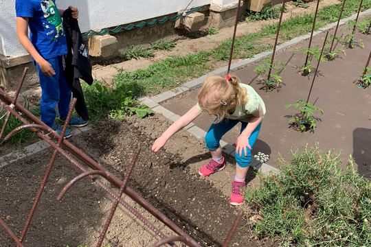 June Planting 1