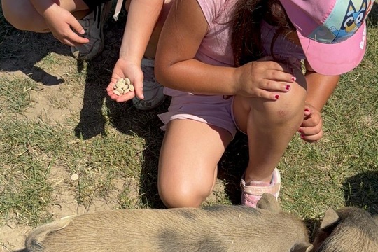 Za zvířátky a sluníčkem Za zvířátky a sluníčkem 1