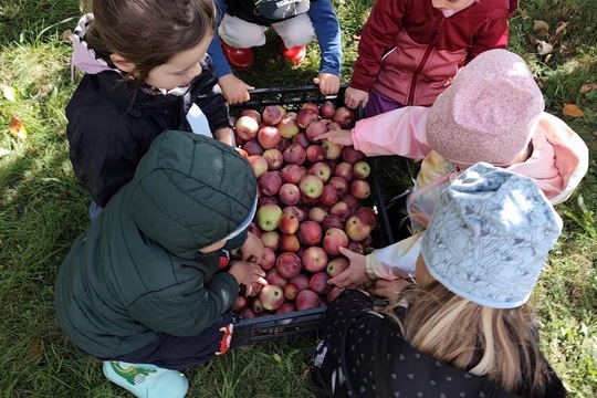 Od jablíčka az ke štrúdlu Od jablíčka az ke štrúdlu 1