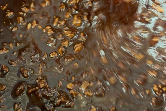 Vlastní domácí čokoláda  1