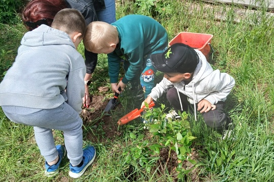 Velké sázení Velké sázení 1