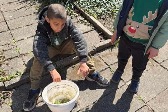 Pracovní činnosti  1