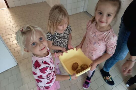 Pečené brambory v zahradní peci Pečené brambory v zahradní peci 1