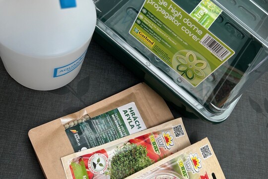 Naše MicroGreens dobrodružství: Malý projekt, velká radost 1
