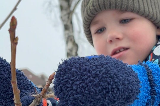 Ledová lednová krmítka  1