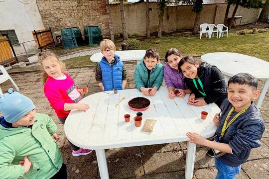 Pracovní činnosti 1