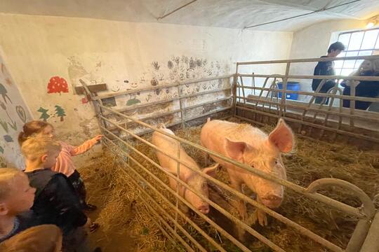 Propojení věkových skupin na farmě u Sedlářů 1