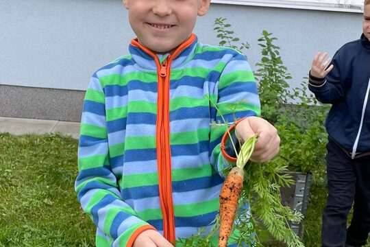 Připravujeme se na farmářský trh, trháme, sušíme a vyrábíme 1