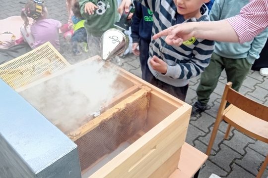 Bzučící návštěva ve školce 1