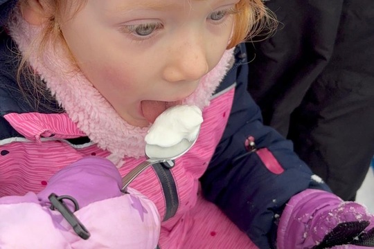 Sníh+ mráz + my = zmrzlina  1