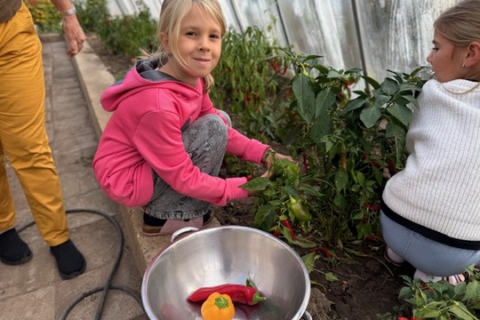 Od semínka až na talíř: Děti z 2.B sklidily úrodu ze školního skleníku Od semínka až na talíř: Děti z 2.B sklidily úrodu ze školního skleníku 1