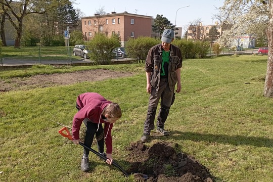 Sázíme stromy, keře a byliny na školní zahradě 1