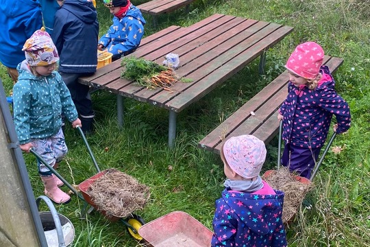 Děti z MŠ ukončily zahradnickou sezonu  1