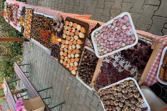 Strašidelné odpoledne v MŠ Sluníčko Krupka 1