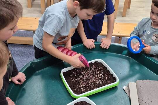 Microgreen v Zahrádce 1