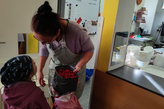 Sběrači šípků Sběrači šípků 1