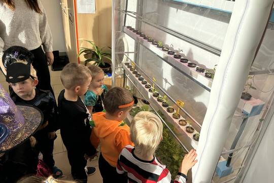 Péče o bylinky z hydroponické zahrádky Péče o bylinky z hydroponické zahrádky 1