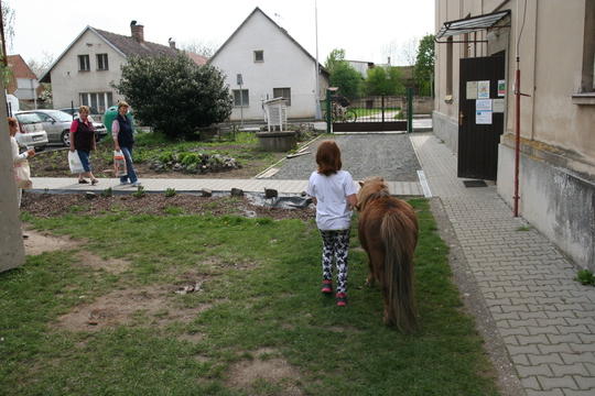 Jarní farmářský trh v Dětenicích 1