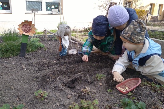 Jarní práce na zahrádce v plném proudu 1