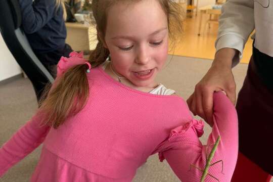 Zvířátka – ať už plastová, plyšová, živá nebo kreslená 1