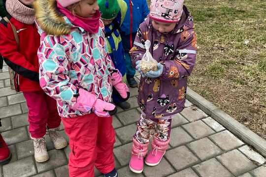 Výprava za labutěmi Výprava za labutěmi 1