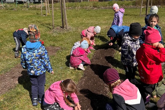 Jarní příprava záhonů 1