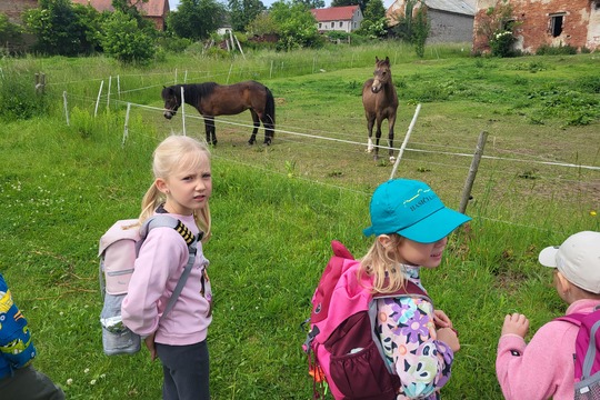 Výlet na Ekofarmu - Kytičky 1