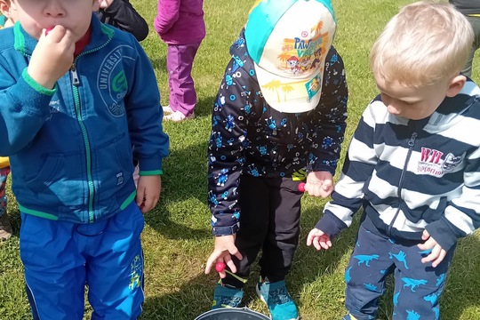Třešně: bublanina nebo náušnice  1