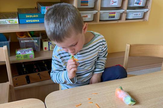 Chefs in Training - Spring Rolls  1