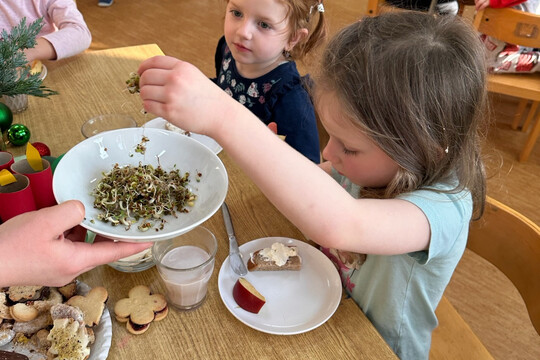 Klíčící sklenice a koflíky s bylinkami ve třídách školky 1
