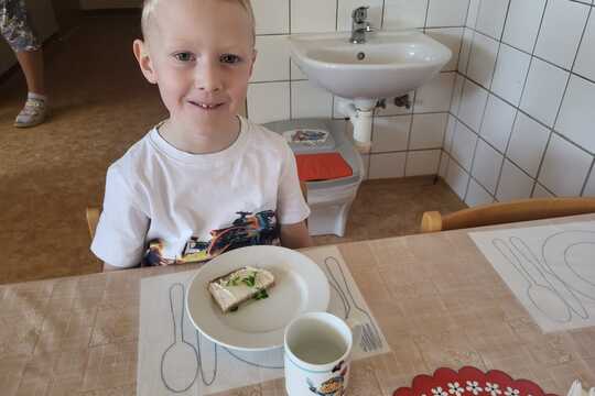 Co roste na Zemi - Sluníčka 1