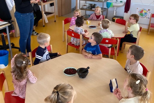 Vaření šípkového čaje u Veverek Vaření šípkového čaje u Veverek 1
