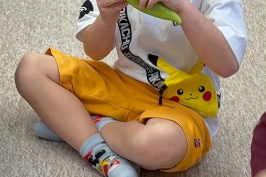 Paprika jako propojené aktivity  1