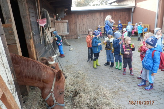 Výlet na kozí farmu 1