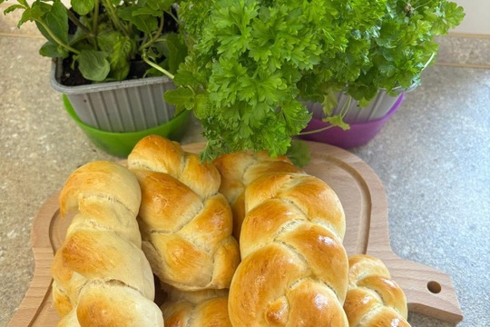 Vlastní a domácí  1