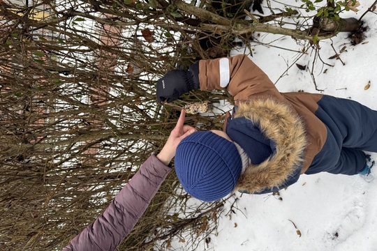 ZÁVĚSNÁ KRMÍTKA PRO PTÁČKY ZÁVĚSNÁ KRMÍTKA PRO PTÁČKY 1