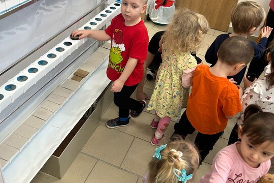 Kytičky z MŠ Kollárova - Hrajeme si na povolání – zahradníci i detektivové 1