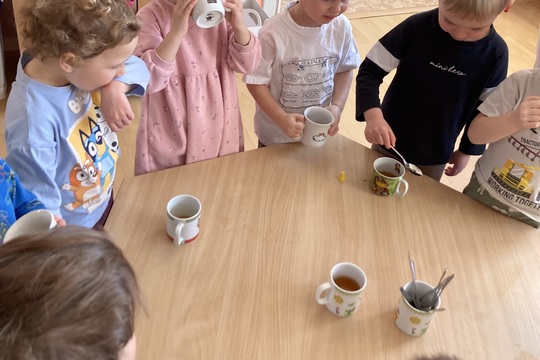 Vitamínový čaj - Berušky 1