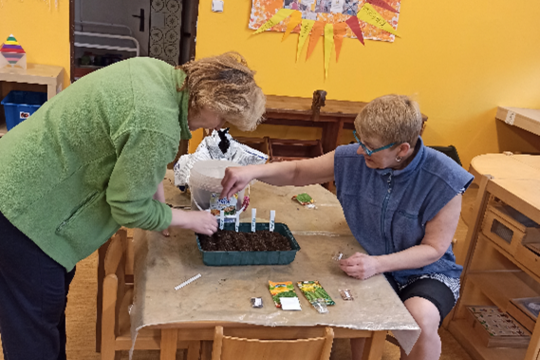 Pěstování Microgreens po uzavření MŠ – Výzva pro děti a rodiče 1