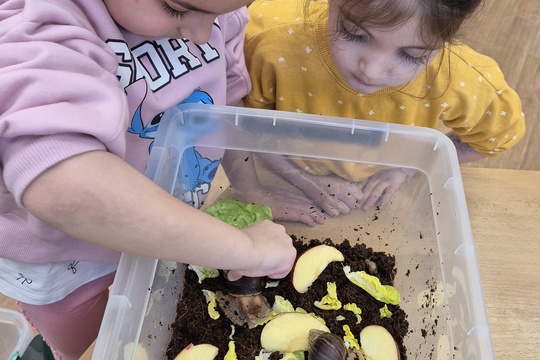 Noví šnečí kamarádi  1