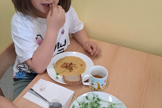 Microgreens do každé třídy 1