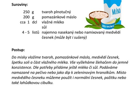Pomazánka s medvědím česnekem 1