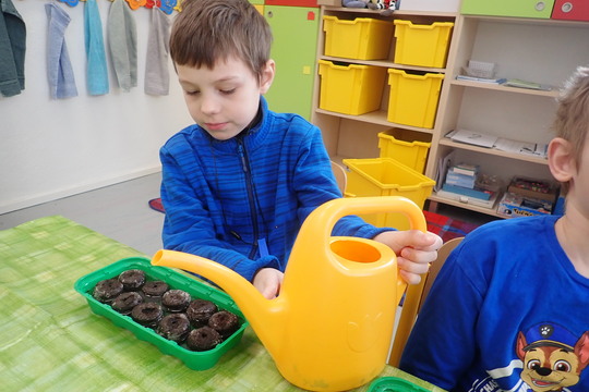 Vysévání semínek 1