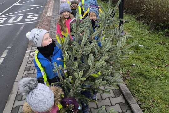 Děti z mateřské školy si našly ten „nejkrásnější“ vánoční stromeček Děti z mateřské školy si našly ten „nejkrásnější“ vánoční stromeček 1