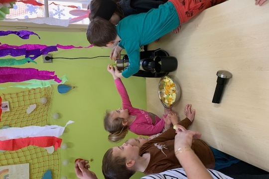 Vitaminová bomba aneb čerstvá dávka energie 1
