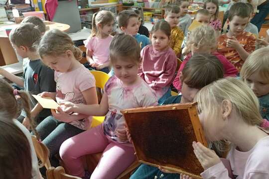 Včelky u medvídků 1