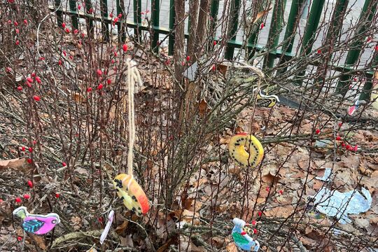 Pomáháme ptáčkům přečkat zimu 2 Pomáháme ptáčkům přečkat zimu 2 1