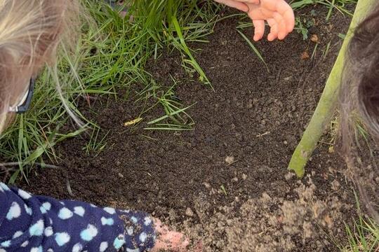 Nový přírůstek  1