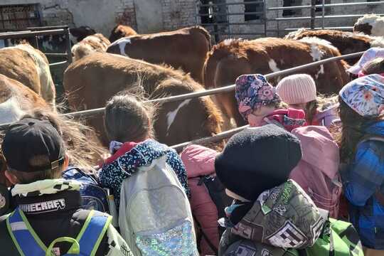 Výlet na Zlatou farmu  1