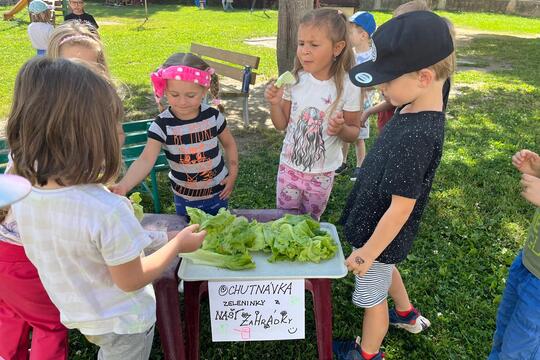 Náš malý zeleninový trh  1